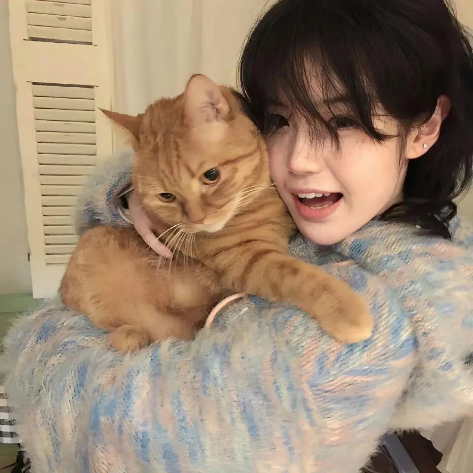 食堂大妈是厨神